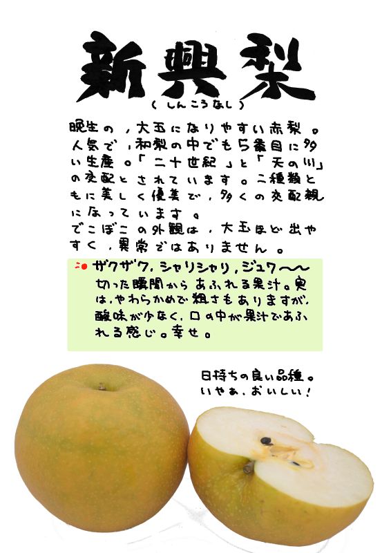 新興梨　和梨｜心にチクっとささるワードで作る「ちくわPOP（ちくわぽっぷ）」｜農産物直売所やスーパーの青果売り場の活性化に！農に特化したPOPが無料!!