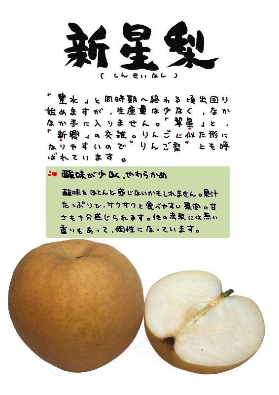 新星梨｜心にチクっとささるワードで作る「ちくわPOP（ちくわぽっぷ）」｜農産物直売所やスーパーの青果売り場の活性化に！農に特化したPOPが無料!!