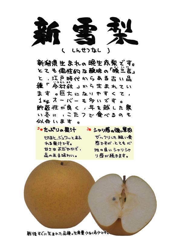 新雪梨｜心にチクっとささるワードで作る「ちくわPOP（ちくわぽっぷ）」｜農産物直売所やスーパーの青果売り場の活性化に！農に特化したPOPが無料!!