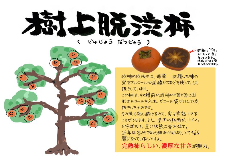 樹上脱渋柿｜心にチクっとささるワードで作る「ちくわPOP（ちくわぽっぷ）」｜農産物直売所やスーパーの青果売り場の活性化に！農に特化したPOPが無料!!