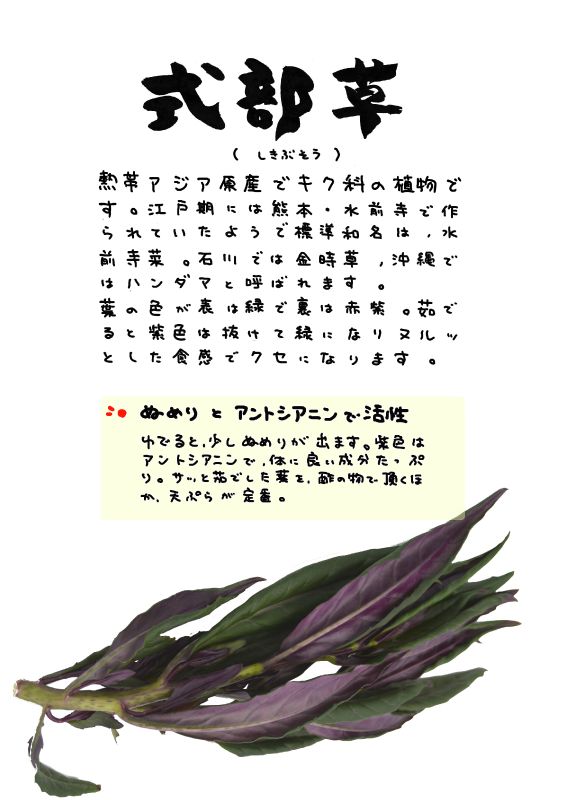 式部草　しきぶそう｜心にチクっとささるワードで作る「ちくわPOP（ちくわぽっぷ）」｜農産物直売所やスーパーの青果売り場の活性化に！農に特化したPOPが無料!!