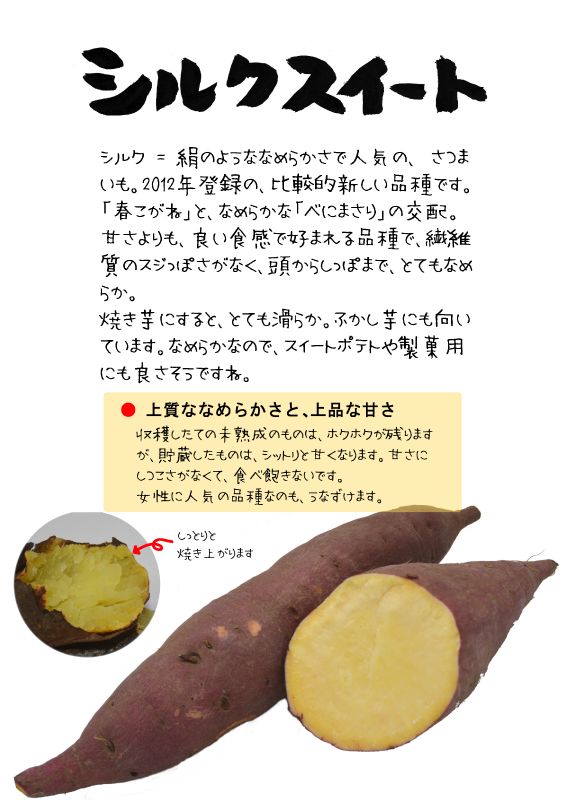 シルクスイート TX｜心にチクっとささるワードで作る「ちくわPOP（ちくわぽっぷ）」｜農産物直売所やスーパーの青果売り場の活性化に！農に特化したPOPが無料!!