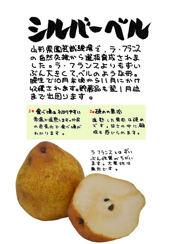 シルバーベル｜心にチクっとささるワードで作る「ちくわPOP（ちくわぽっぷ）」｜農産物直売所やスーパーの青果売り場の活性化に！農に特化したPOPが無料!!