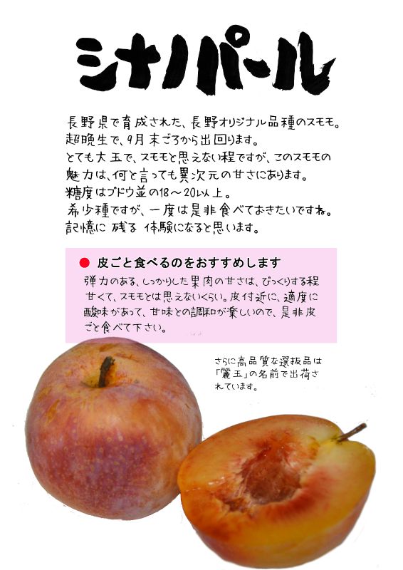 シナノパール　スモモ　麗玉TX｜心にチクっとささるワードで作る「ちくわPOP（ちくわぽっぷ）」｜農産物直売所やスーパーの青果売り場の活性化に！農に特化したPOPが無料!!