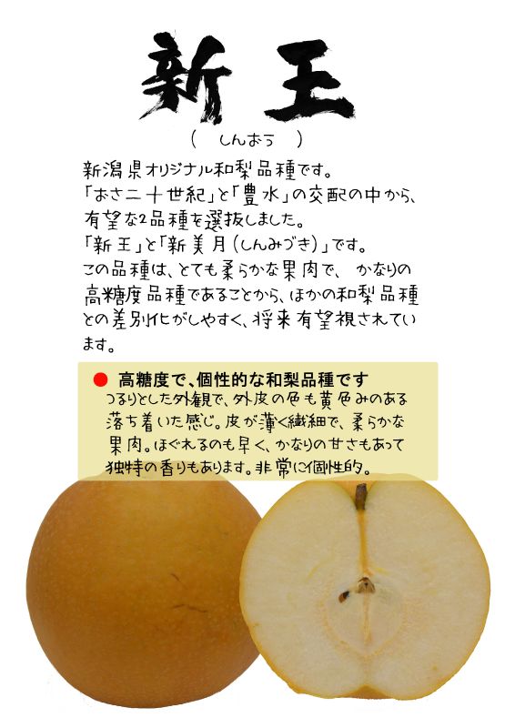 新王　しんおう　和梨　202310TX｜心にチクっとささるワードで作る「ちくわPOP（ちくわぽっぷ）」｜農産物直売所やスーパーの青果売り場の活性化に！農に特化したPOPが無料!!