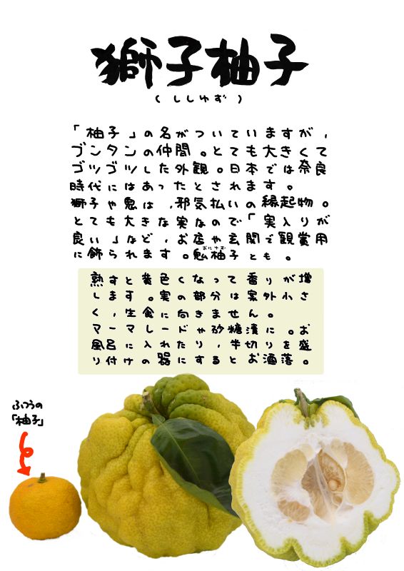 獅子柚子　鬼柚子｜心にチクっとささるワードで作る「ちくわPOP（ちくわぽっぷ）」｜農産物直売所やスーパーの青果売り場の活性化に！農に特化したPOPが無料!!