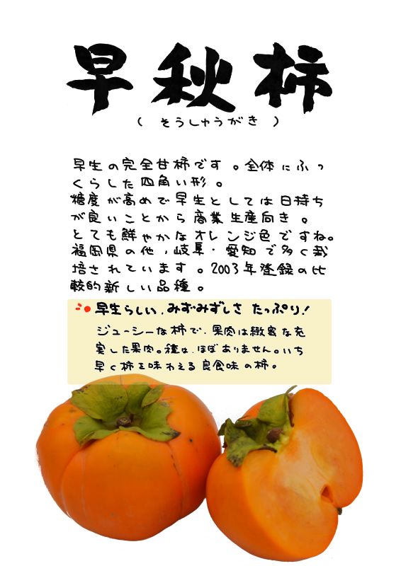早秋柿　そうしゅうがき｜心にチクっとささるワードで作る「ちくわPOP（ちくわぽっぷ）」｜農産物直売所やスーパーの青果売り場の活性化に！農に特化したPOPが無料!!