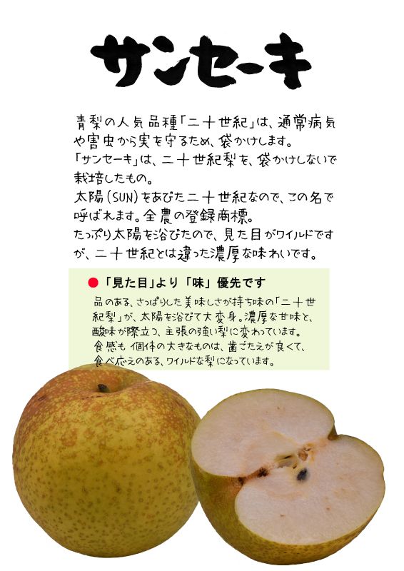 サンセーキ　サン世紀　202210TX｜心にチクっとささるワードで作る「ちくわPOP（ちくわぽっぷ）」｜農産物直売所やスーパーの青果売り場の活性化に！農に特化したPOPが無料!!