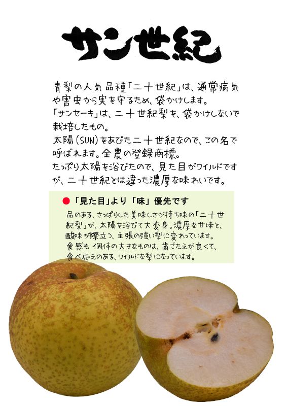 サン世紀　サンセーキ　202210TX｜心にチクっとささるワードで作る「ちくわPOP（ちくわぽっぷ）」｜農産物直売所やスーパーの青果売り場の活性化に！農に特化したPOPが無料!!