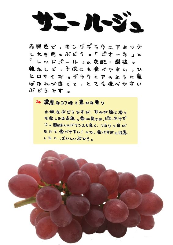 サニールージュ　赤葡萄｜心にチクっとささるワードで作る「ちくわPOP（ちくわぽっぷ）」｜農産物直売所やスーパーの青果売り場の活性化に！農に特化したPOPが無料!!