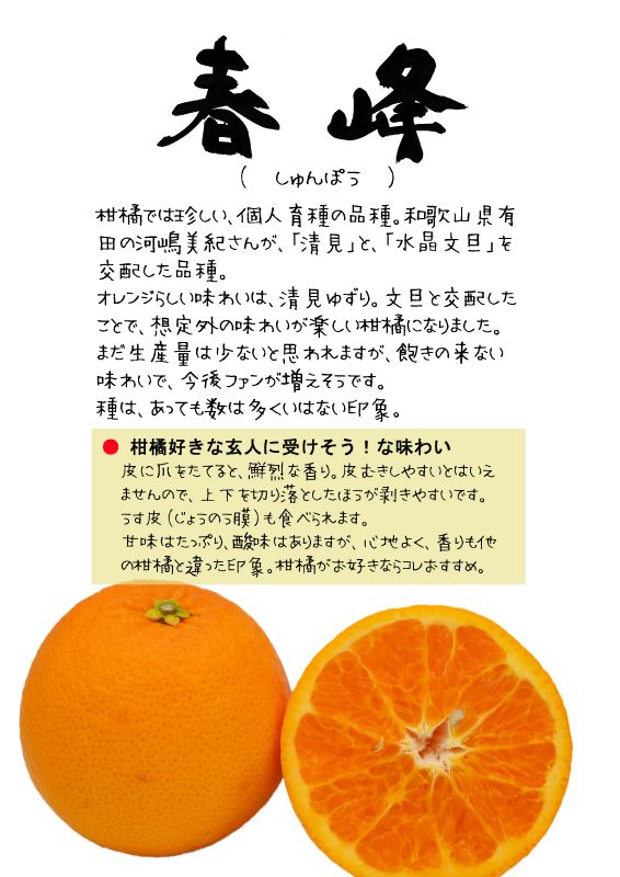 春峰　しゅんぽう　柑橘　TX｜心にチクっとささるワードで作る「ちくわPOP（ちくわぽっぷ）」｜農産物直売所やスーパーの青果売り場の活性化に！農に特化したPOPが無料!!