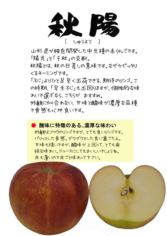 秋陽　しゅうよう　TX｜心にチクっとささるワードで作る「ちくわPOP（ちくわぽっぷ）」｜農産物直売所やスーパーの青果売り場の活性化に！農に特化したPOPが無料!!