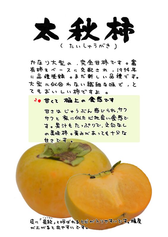 太秋柿　たいしゅうがき｜心にチクっとささるワードで作る「ちくわPOP（ちくわぽっぷ）」｜農産物直売所やスーパーの青果売り場の活性化に！農に特化したPOPが無料!!