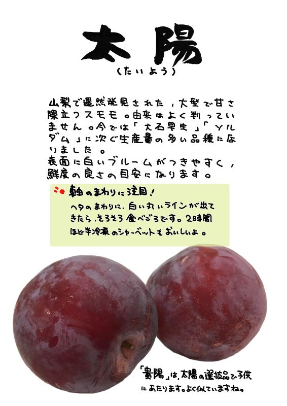 太陽プラム　すもも｜心にチクっとささるワードで作る「ちくわPOP（ちくわぽっぷ）」｜農産物直売所やスーパーの青果売り場の活性化に！農に特化したPOPが無料!!