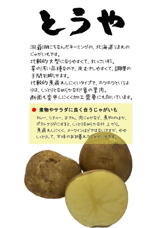 とうや　洞爺　黄爵　TX｜心にチクっとささるワードで作る「ちくわPOP（ちくわぽっぷ）」｜農産物直売所やスーパーの青果売り場の活性化に！農に特化したPOPが無料!!