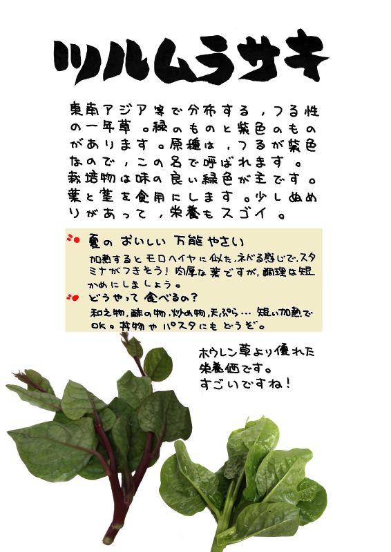 ツルムラサキ Basella alba｜心にチクっとささるワードで作る「ちくわPOP（ちくわぽっぷ）」｜農産物直売所やスーパーの青果売り場の活性化に！農に特化したPOPが無料!!