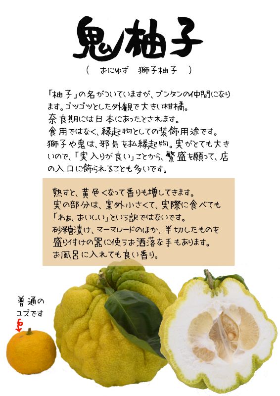 鬼柚子　おにゆず　TX｜心にチクっとささるワードで作る「ちくわPOP（ちくわぽっぷ）」｜農産物直売所やスーパーの青果売り場の活性化に！農に特化したPOPが無料!!