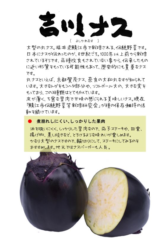 吉川ナス　吉川なす　Yoshikawa egg plant｜心にチクっとささるワードで作る「ちくわPOP（ちくわぽっぷ）」｜農産物直売所やスーパーの青果売り場の活性化に！農に特化したPOPが無料!!
