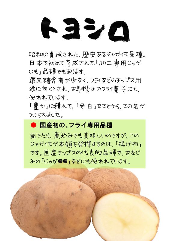 トヨシロ　じゃがいも　馬鈴薯TX｜心にチクっとささるワードで作る「ちくわPOP（ちくわぽっぷ）」｜農産物直売所やスーパーの青果売り場の活性化に！農に特化したPOPが無料!!