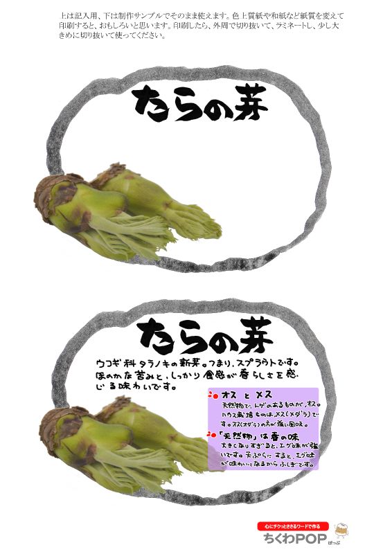 たらの芽　タラの芽　楕円枠｜心にチクっとささるワードで作る「ちくわPOP（ちくわぽっぷ）」｜農産物直売所やスーパーの青果売り場の活性化に！農に特化したPOPが無料!!