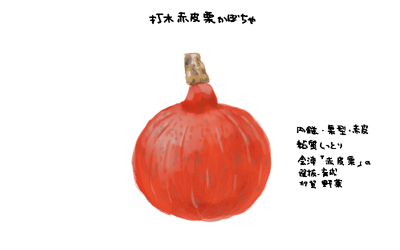 打木赤皮栗かぼちゃ｜心にチクっとささるワードで作る「ちくわPOP（ちくわぽっぷ）」｜農産物直売所やスーパーの青果売り場の活性化に！農に特化したPOPが無料!!