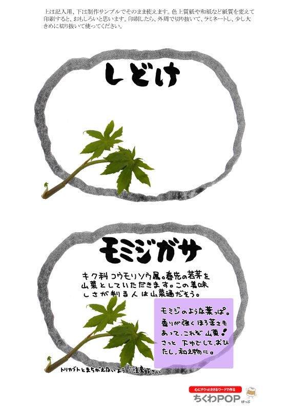 シドケ　しどけ　モミジガサ｜心にチクっとささるワードで作る「ちくわPOP（ちくわぽっぷ）」｜農産物直売所やスーパーの青果売り場の活性化に！農に特化したPOPが無料!!