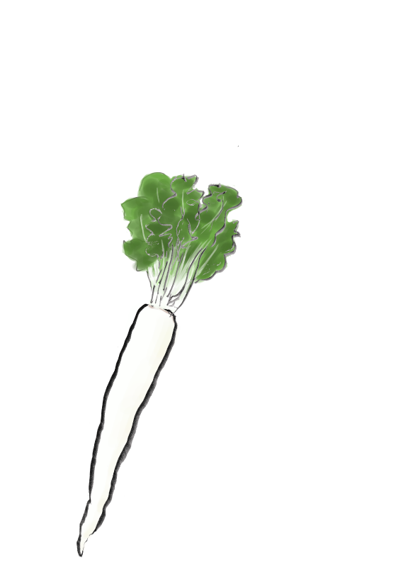 祝大根　祝いだいこん｜心にチクっとささるワードで作る「ちくわPOP（ちくわぽっぷ）」｜農産物直売所やスーパーの青果売り場の活性化に！農に特化したPOPが無料!!