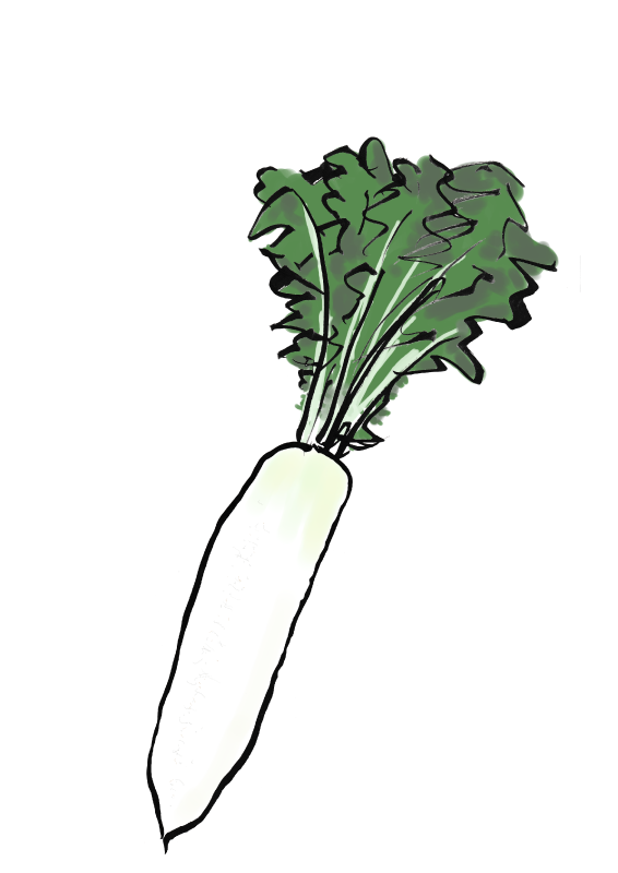 青首だいこん　大根｜心にチクっとささるワードで作る「ちくわPOP（ちくわぽっぷ）」｜農産物直売所やスーパーの青果売り場の活性化に！農に特化したPOPが無料!!