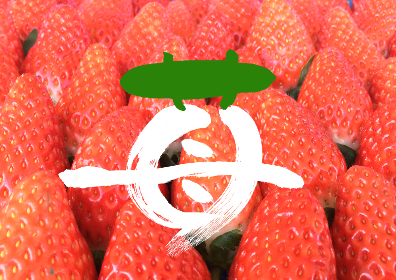 いちごイチゴ苺いちごまつりフェア｜心にチクっとささるワードで作る「ちくわPOP（ちくわぽっぷ）」｜農産物直売所やスーパーの青果売り場の活性化に！農に特化したPOPが無料!!