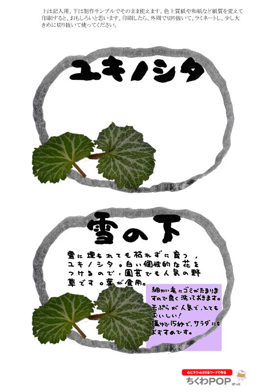 ユキノシタ雪の下　楕円枠｜心にチクっとささるワードで作る「ちくわPOP（ちくわぽっぷ）」｜農産物直売所やスーパーの青果売り場の活性化に！農に特化したPOPが無料!!