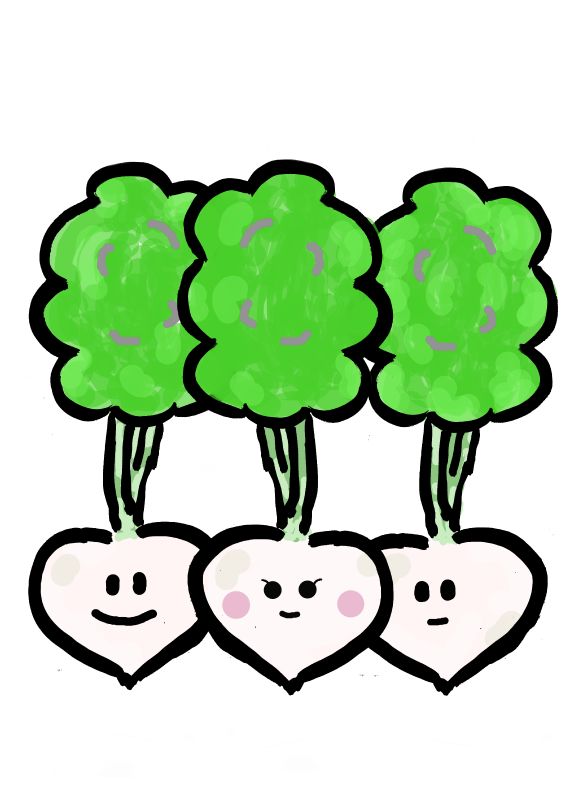 こかぶ　小蕪　コカブ　イラスト｜心にチクっとささるワードで作る「ちくわPOP（ちくわぽっぷ）」｜農産物直売所やスーパーの青果売り場の活性化に！農に特化したPOPが無料!!