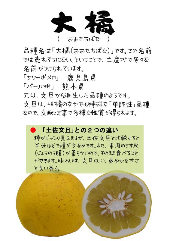 大橘　おおたちばな　ｔｘ｜心にチクっとささるワードで作る「ちくわPOP（ちくわぽっぷ）」｜農産物直売所やスーパーの青果売り場の活性化に！農に特化したPOPが無料!!