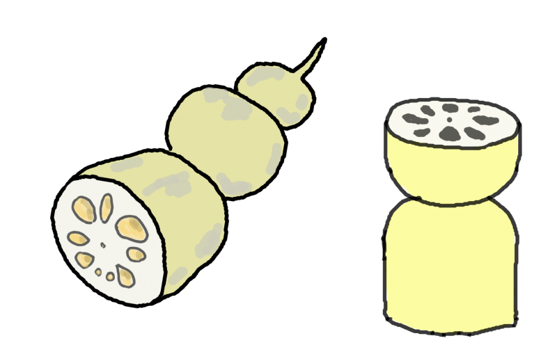 れんこんレンコン蓮根イラスト　｜心にチクっとささるワードで作る「ちくわPOP（ちくわぽっぷ）」｜農産物直売所やスーパーの青果売り場の活性化に！農に特化したPOPが無料!!