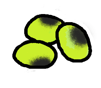 大豆鞍掛だいずダイズくらかけまめイラスト　｜心にチクっとささるワードで作る「ちくわPOP（ちくわぽっぷ）」｜農産物直売所やスーパーの青果売り場の活性化に！農に特化したPOPが無料!!