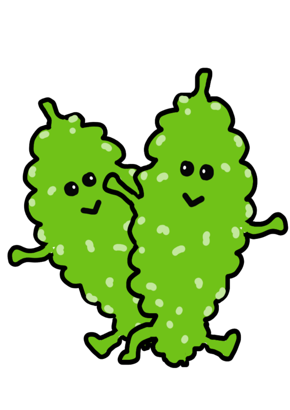 ゴーヤー　苦瓜　にがうり　イラスト｜心にチクっとささるワードで作る「ちくわPOP（ちくわぽっぷ）」｜農産物直売所やスーパーの青果売り場の活性化に！農に特化したPOPが無料!!