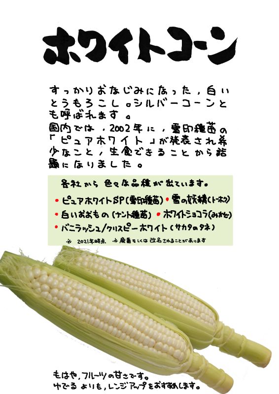 ホワイトコーン　白いとうもろこしwhite corn｜心にチクっとささるワードで作る「ちくわPOP（ちくわぽっぷ）」｜農産物直売所やスーパーの青果売り場の活性化に！農に特化したPOPが無料!!