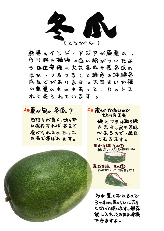 冬瓜　とうがん　winter melon white gourd｜心にチクっとささるワードで作る「ちくわPOP（ちくわぽっぷ）」｜農産物直売所やスーパーの青果売り場の活性化に！農に特化したPOPが無料!!