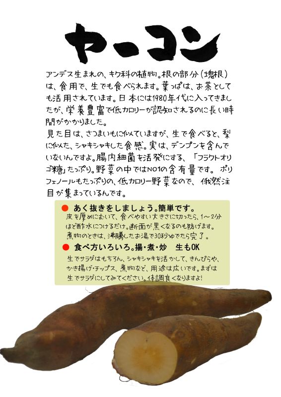 ヤーコン　yacon TX｜心にチクっとささるワードで作る「ちくわPOP（ちくわぽっぷ）」｜農産物直売所やスーパーの青果売り場の活性化に！農に特化したPOPが無料!!