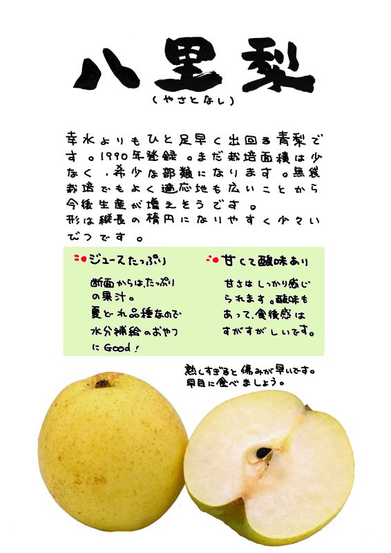 八里梨　やさとなし｜心にチクっとささるワードで作る「ちくわPOP（ちくわぽっぷ）」｜農産物直売所やスーパーの青果売り場の活性化に！農に特化したPOPが無料!!
