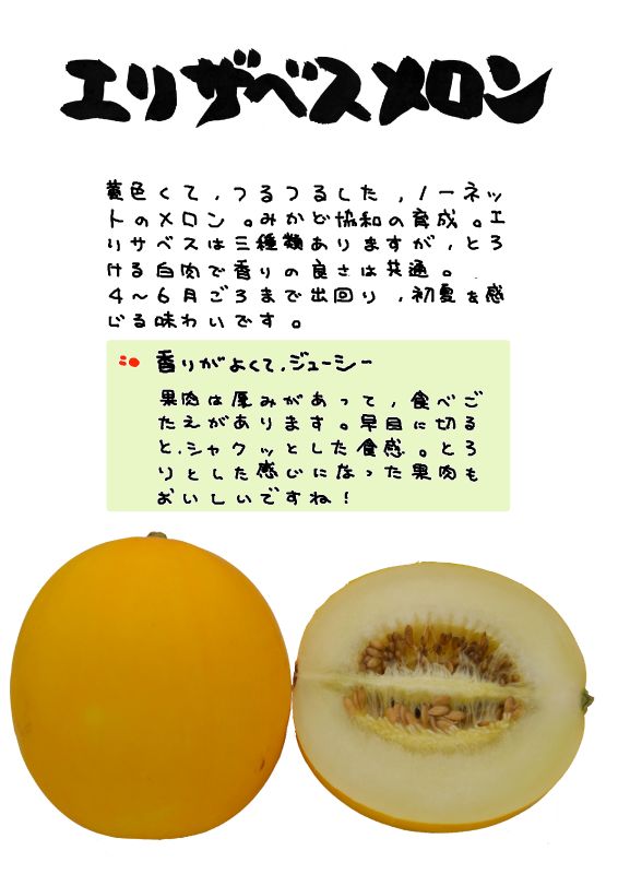 エリザベスメロン｜心にチクっとささるワードで作る「ちくわPOP（ちくわぽっぷ）」｜農産物直売所やスーパーの青果売り場の活性化に！農に特化したPOPが無料!!