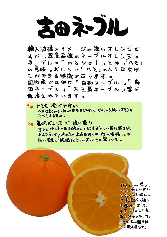 吉田ネーブル｜心にチクっとささるワードで作る「ちくわPOP（ちくわぽっぷ）」｜農産物直売所やスーパーの青果売り場の活性化に！農に特化したPOPが無料!!