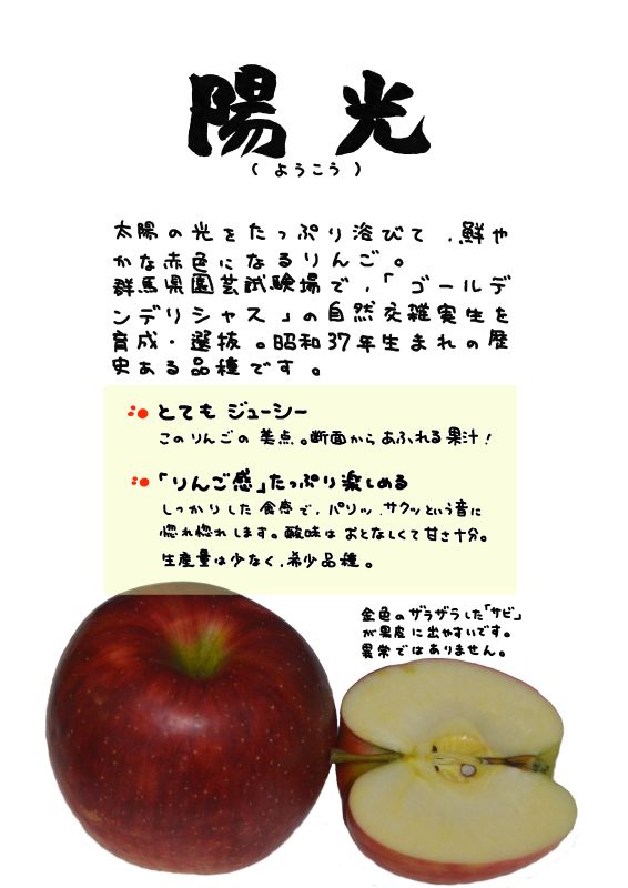 陽光　赤りんご｜心にチクっとささるワードで作る「ちくわPOP（ちくわぽっぷ）」｜農産物直売所やスーパーの青果売り場の活性化に！農に特化したPOPが無料!!