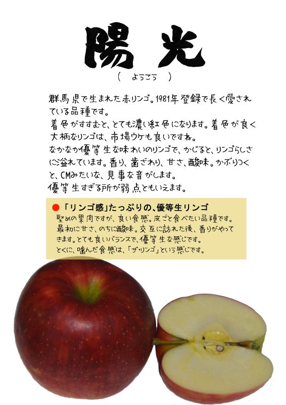 陽光　ようこう　赤りんごTX｜心にチクっとささるワードで作る「ちくわPOP（ちくわぽっぷ）」｜農産物直売所やスーパーの青果売り場の活性化に！農に特化したPOPが無料!!