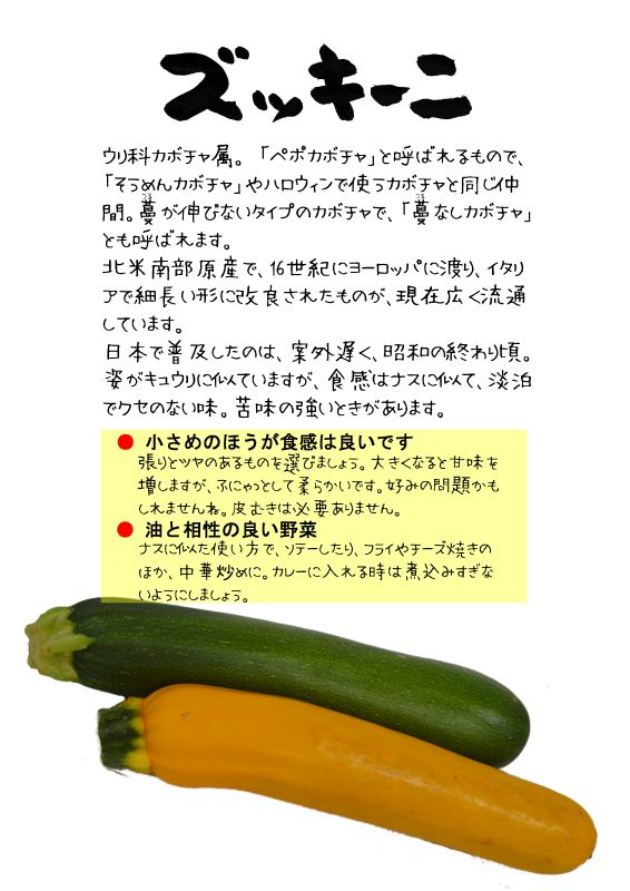ズッキーニ　zucchini｜心にチクっとささるワードで作る「ちくわPOP（ちくわぽっぷ）」｜農産物直売所やスーパーの青果売り場の活性化に！農に特化したPOPが無料!!